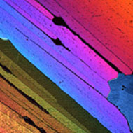Microscope View